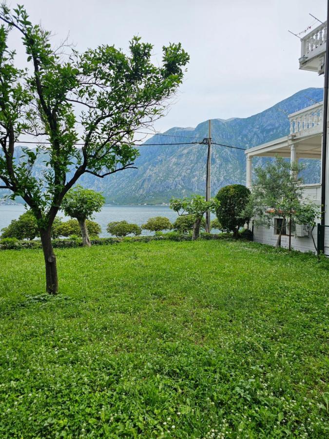 Apartments Popovic Kotor Ngoại thất bức ảnh