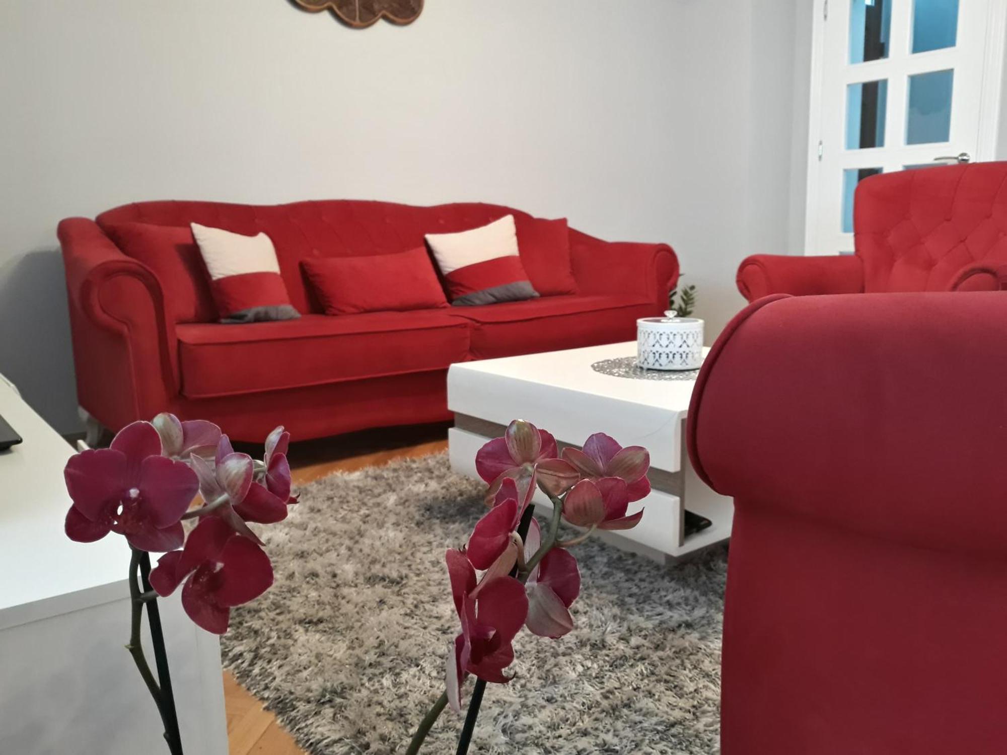 Apartments Popovic Kotor Ngoại thất bức ảnh