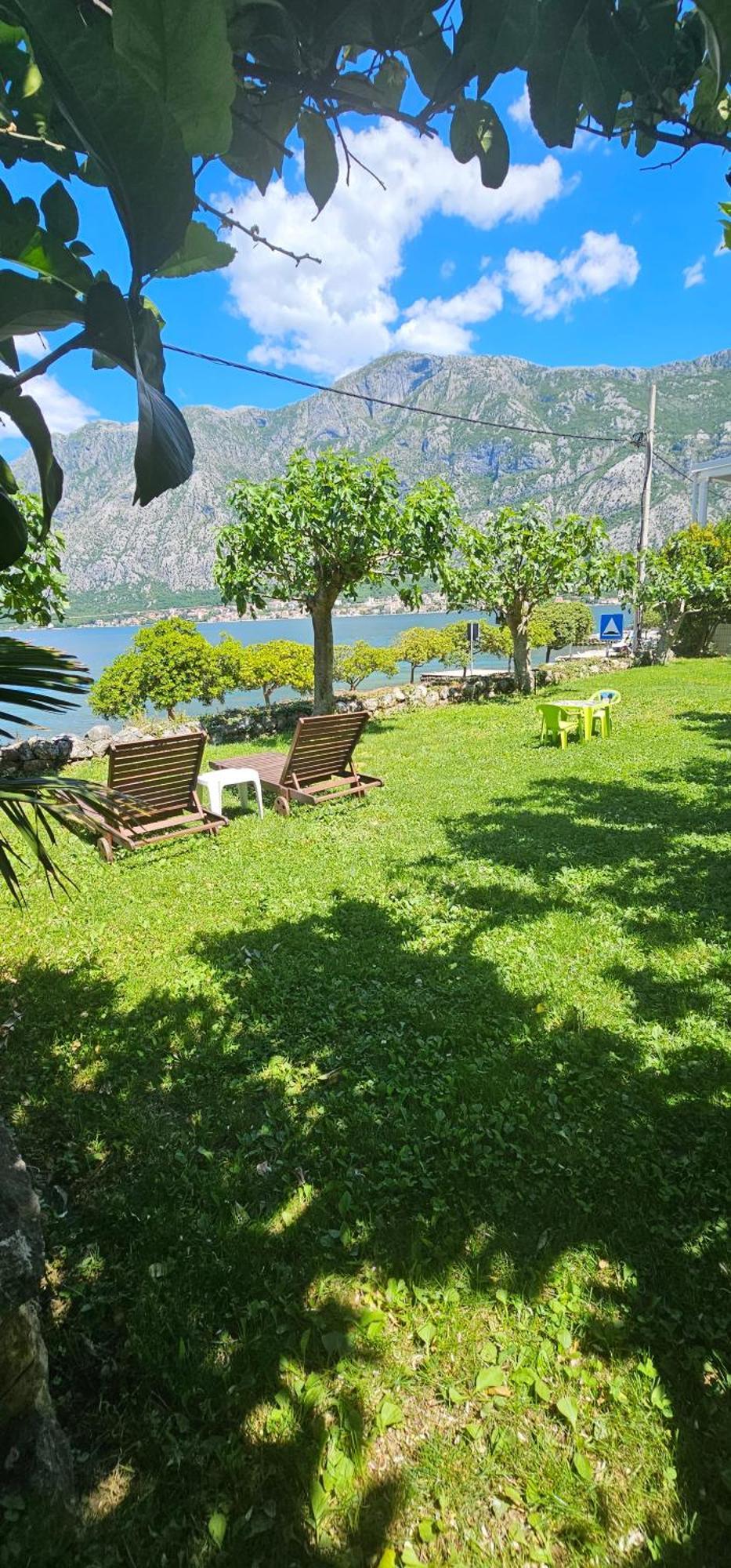 Apartments Popovic Kotor Ngoại thất bức ảnh