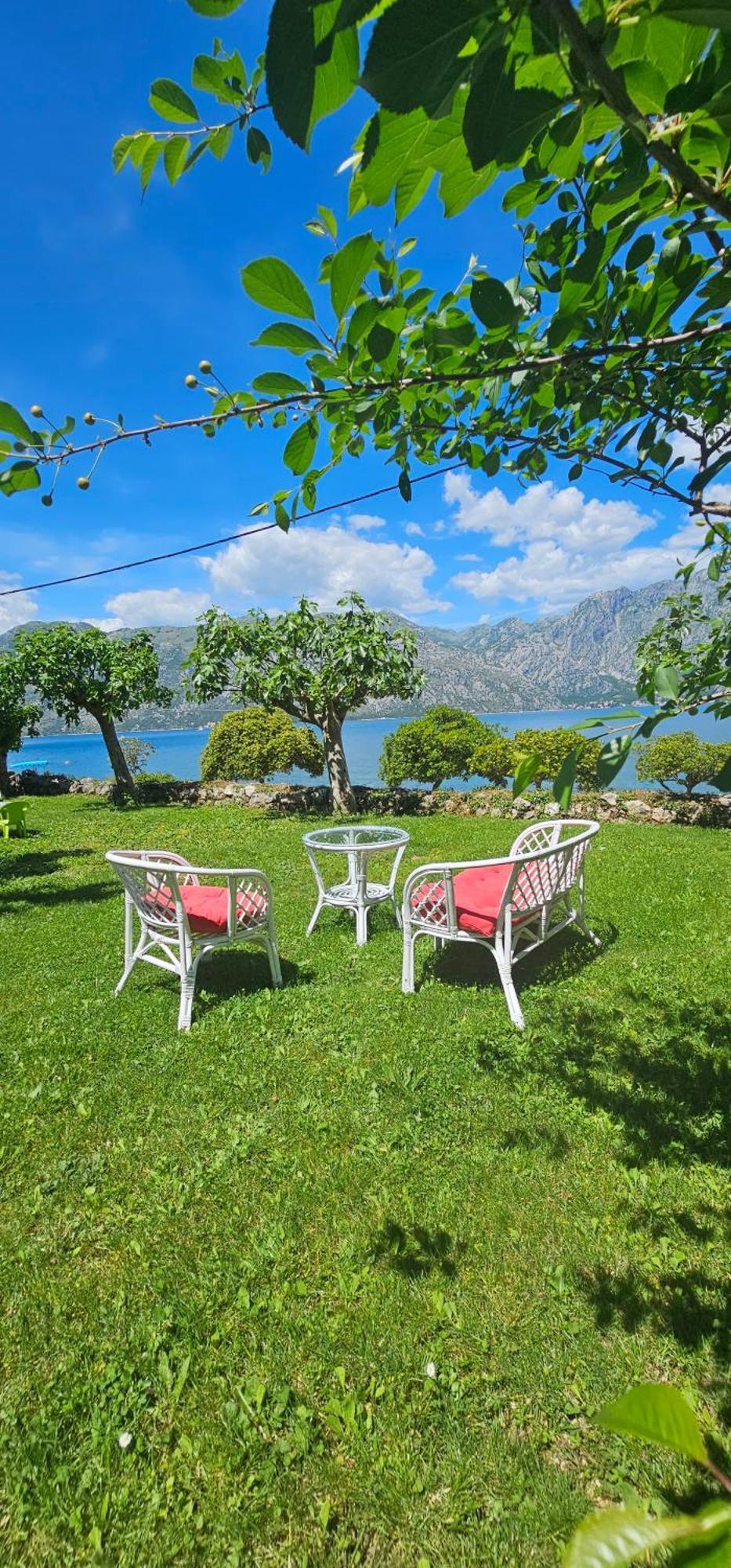 Apartments Popovic Kotor Ngoại thất bức ảnh
